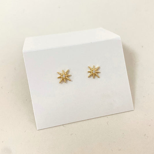 Boucles d'oreilles | Rose des vents