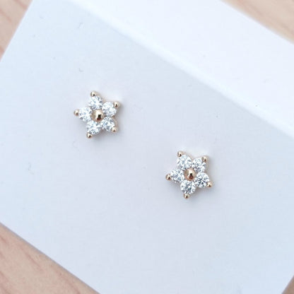 Boucles d'oreilles | Astra