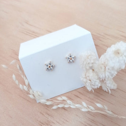 Boucles d'oreilles | Astra