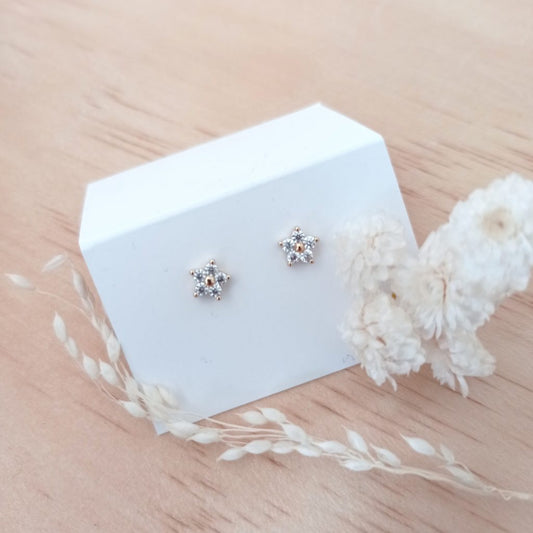 Boucles d'oreilles | Astra