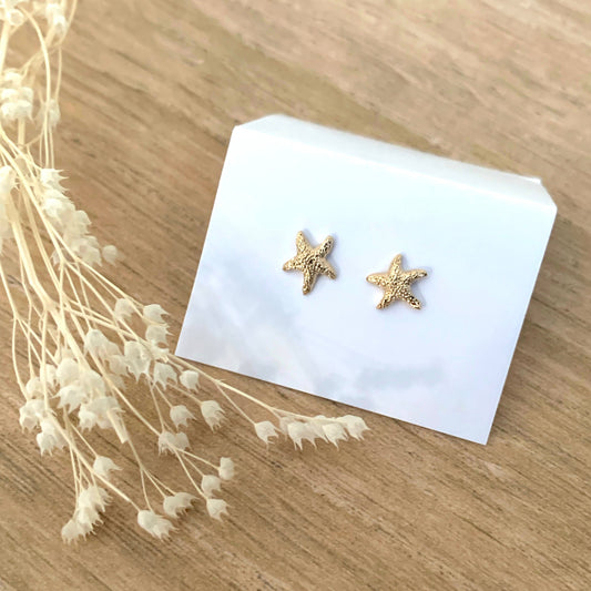 Boucles d'oreilles en plaqué or