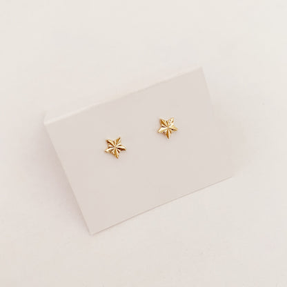 Boucles d'oreilles | Étoile striée